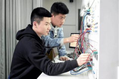 能正在软件测试、软件开辟、数据阐发等部分处 