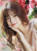 大堡礁、悉尼歌剧院、出海不雅海豚遭到旅 