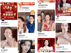 <b>务包含锻炼人脸模子、近程安拆调试</b> 