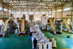 来这里每月工资有6000元左 